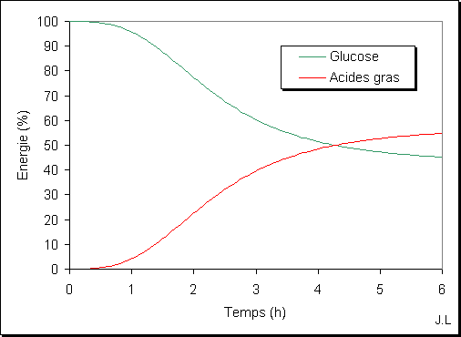 Evolution de la source énergétique en fonction du temps, pour un exercice de faible intensité (50-60% de VO2 max)